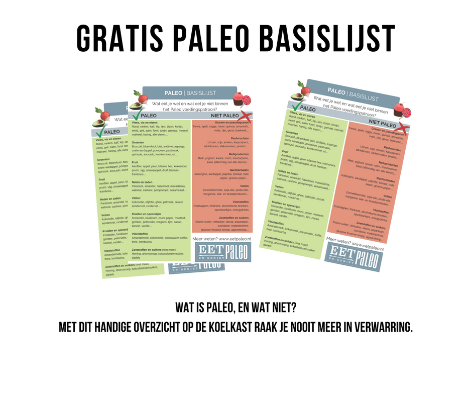 Paleo Basislijst banner