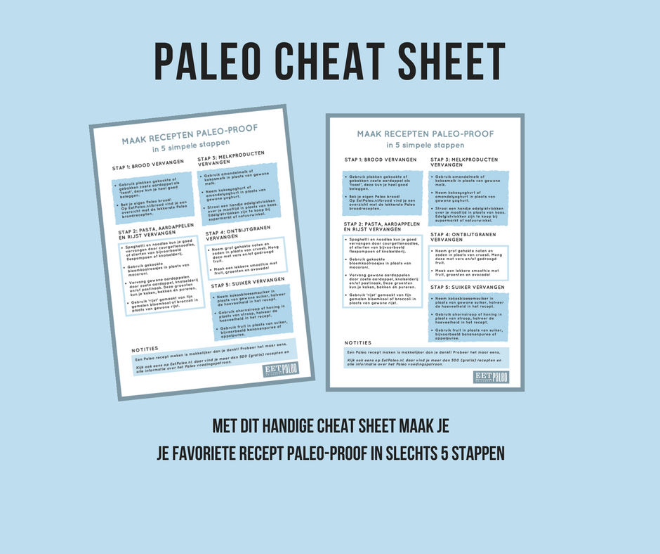 Paleo Cheat Sheet banner