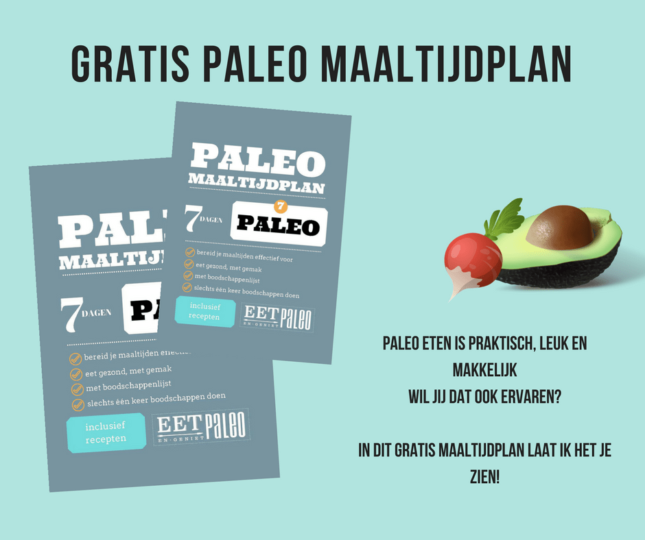 Paleo Maaltijdplan banner